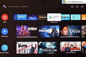 How to Install Play Store on Smart TV